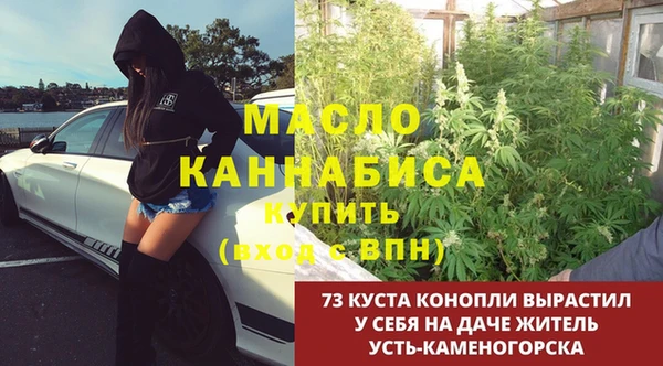 сатива Алексин