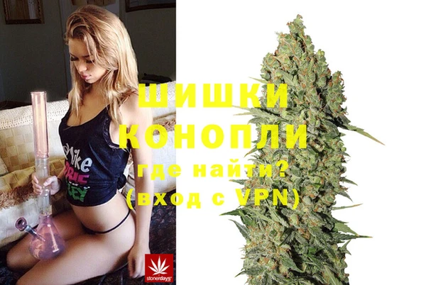 ECSTASY Гусев