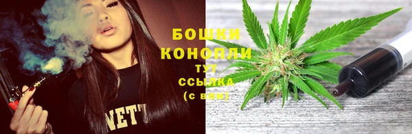 сатива Алексин