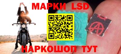 PSILOCYBIN Кулебаки