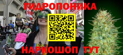 МДПВ Ливны