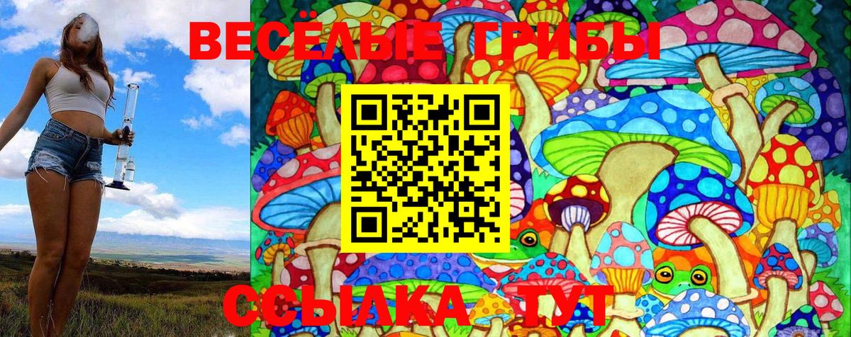 Галлюциногенные грибы MAGIC MUSHROOMS  Псилоцибиновые грибы мухоморы  Вход с VPN  Йошкар-Ола 